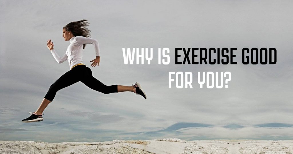 The Countless Benefits of Regular Exercise