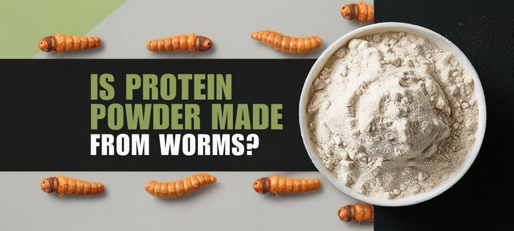 ARE PROTEIN POWDER MADE FROM WORMS