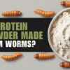 ARE PROTEIN POWDER MADE FROM WORMS